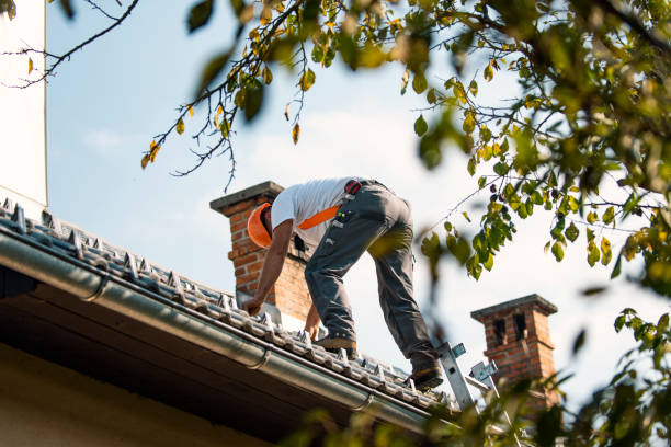 Best Gutter Installation and Roofing  in Carrington, ND