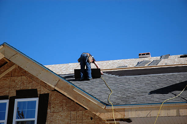 Best Roof Maintenance Services  in Carrington, ND