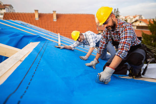 Best Metal Roofing Contractor  in Carrington, ND